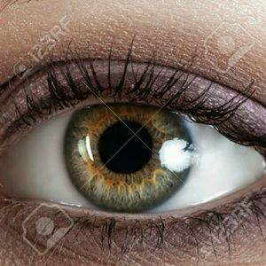 Meet your Posher, Alexa